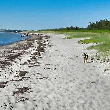 Meeresleuchten - 公寓 *