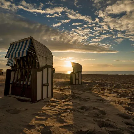 Meeresleuchten - 格洛威